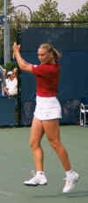 dokic_10.jpg (22271 bytes)